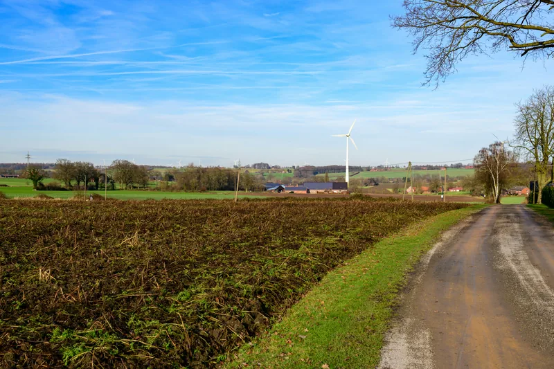 Flat agricultural field with cleared hedgerow and rural road in Simcoe County Ontario — the type of former farmland being converted to residential development in Innisfil